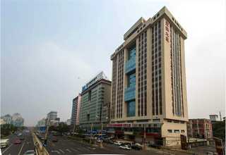 山西桔梗花花种成活率